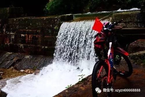 蛇蛇争霸