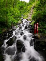 大话西游手游