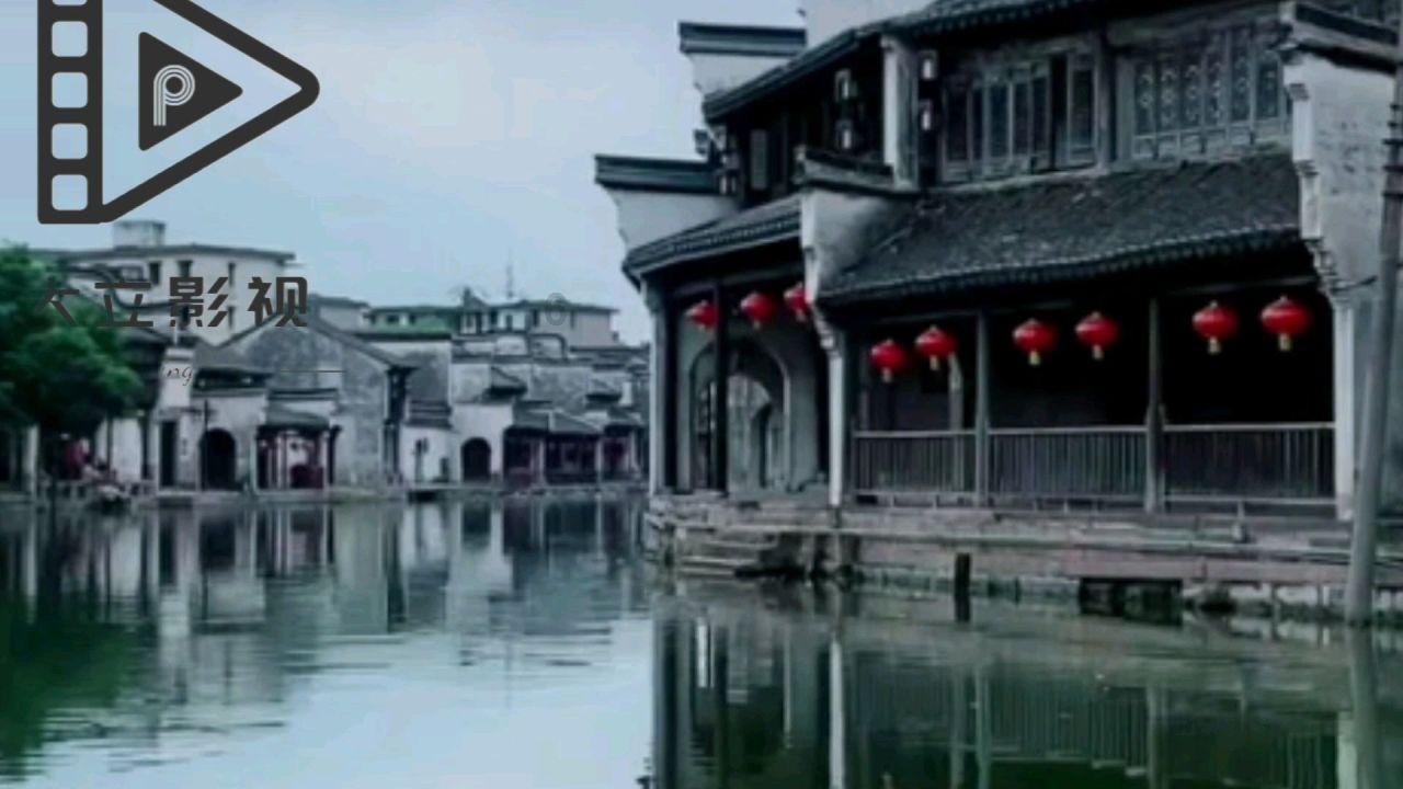萌宠好又多